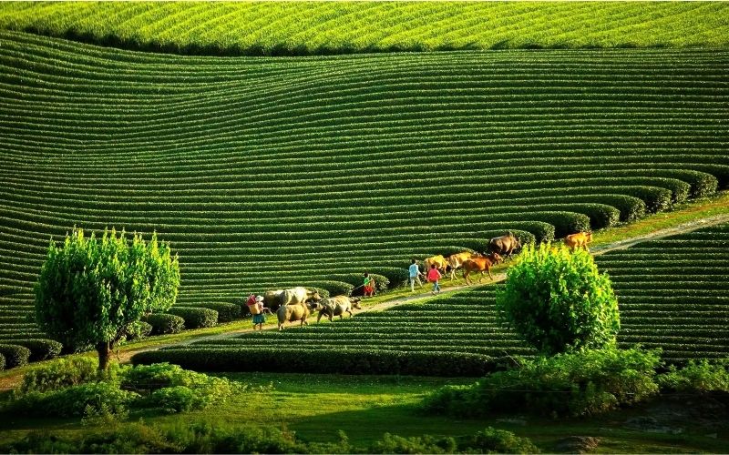 Nhập hàng tạp hóa dễ dàng - giá ưu đãi!  Tải app OneShop ngay tại đây!